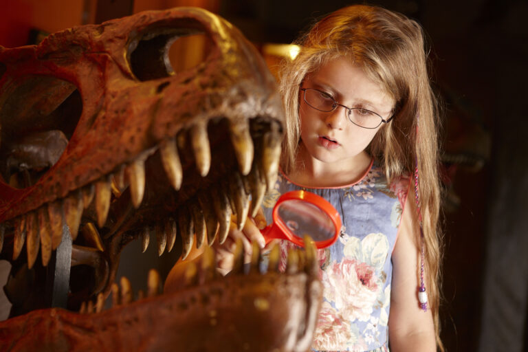 DINOSAURMUSEUM2